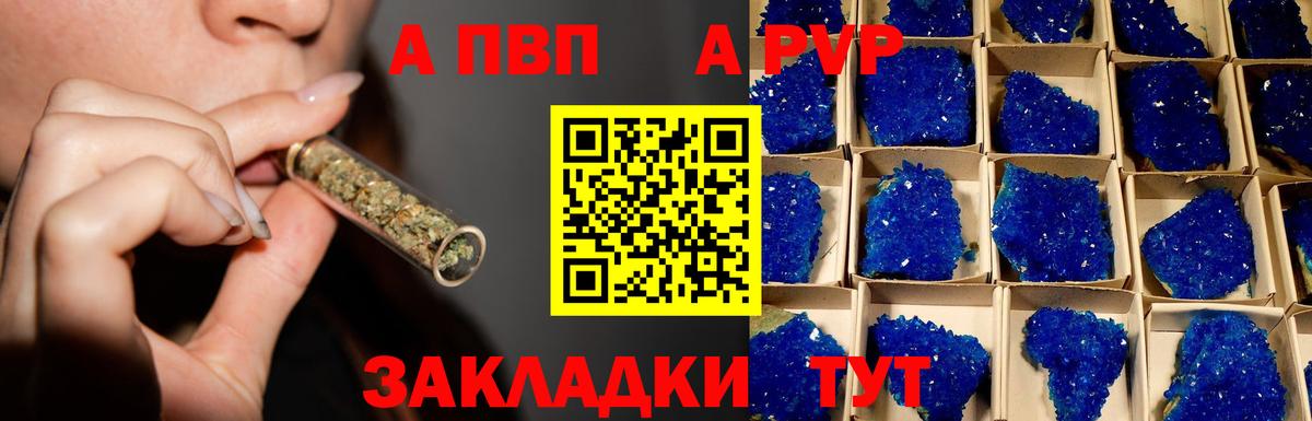 A PVP СК Махачкала