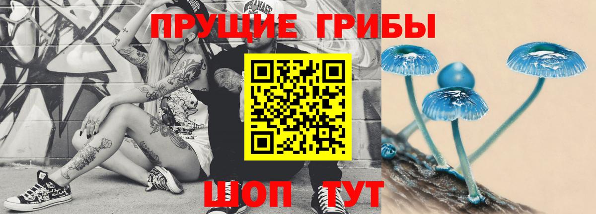 дарнет шоп  Вход с VPN  Махачкала  Галлюциногенные грибы Magic Shrooms 