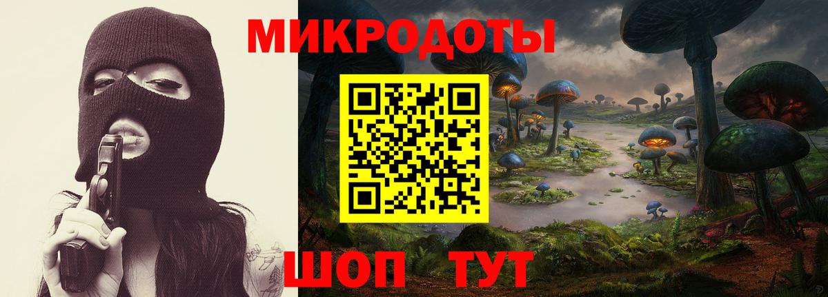 Галлюциногенные грибы прущие грибы  Псилоцибиновые грибы GOLDEN TEACHER  дарнет шоп  Махачкала 